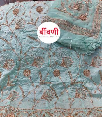 Heavy Work Poshak in Light Blue with Bember Satin