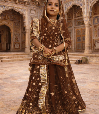 Baisa Poshak in Chocolate Brown with Zari-Stone Work- Stitched