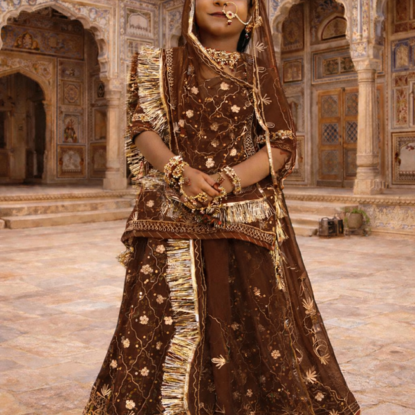 Baisa Poshak in Chocolate Brown with Zari-Stone Work- Stitched