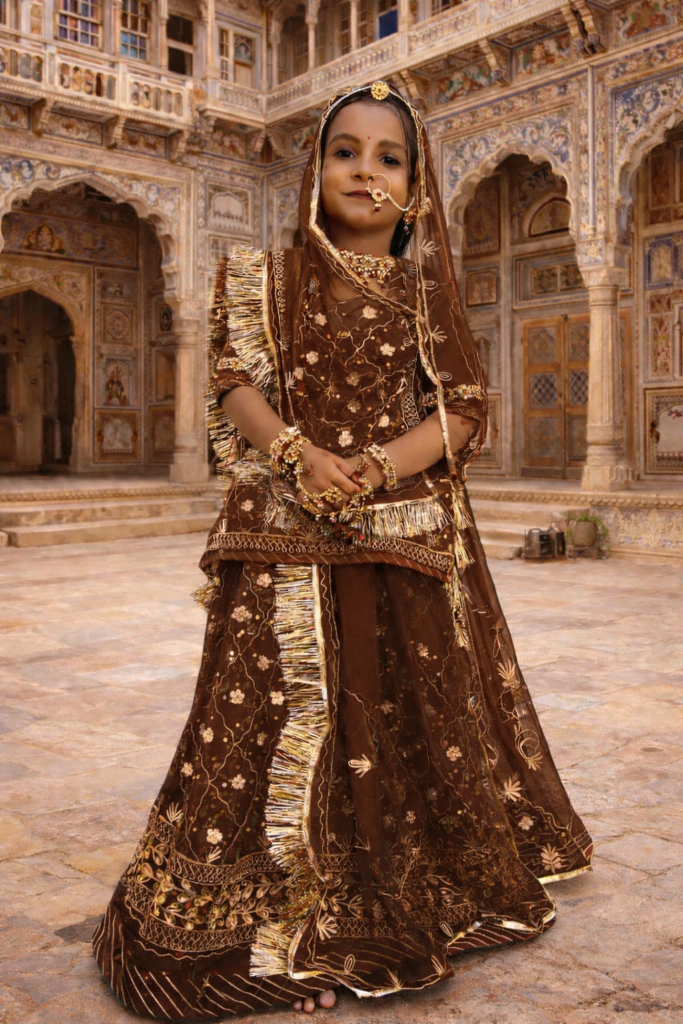 Baisa Poshak in Chocolate Brown with Zari-Stone Work- Stitched