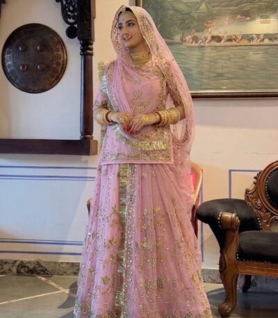 Rajasthani Handwork Poshak in Baby Pink Color