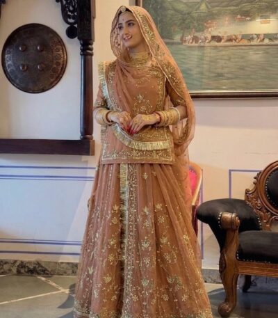 Wooden Color Rajputi Poshak in Zardoji and Kundan Handwork