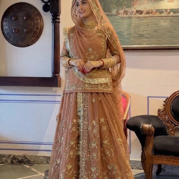 Wooden Color Rajputi Poshak in Zardoji and Kundan Handwork