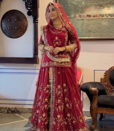 Rajasthani Handwork Poshak in Red Color